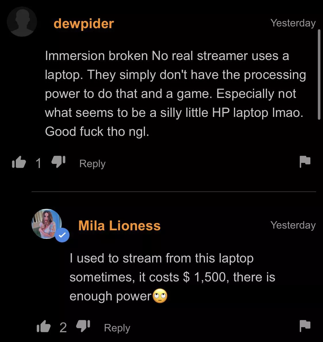 the person who made the video actually proved a pornhub commenter wrong in the least nsfw way possible