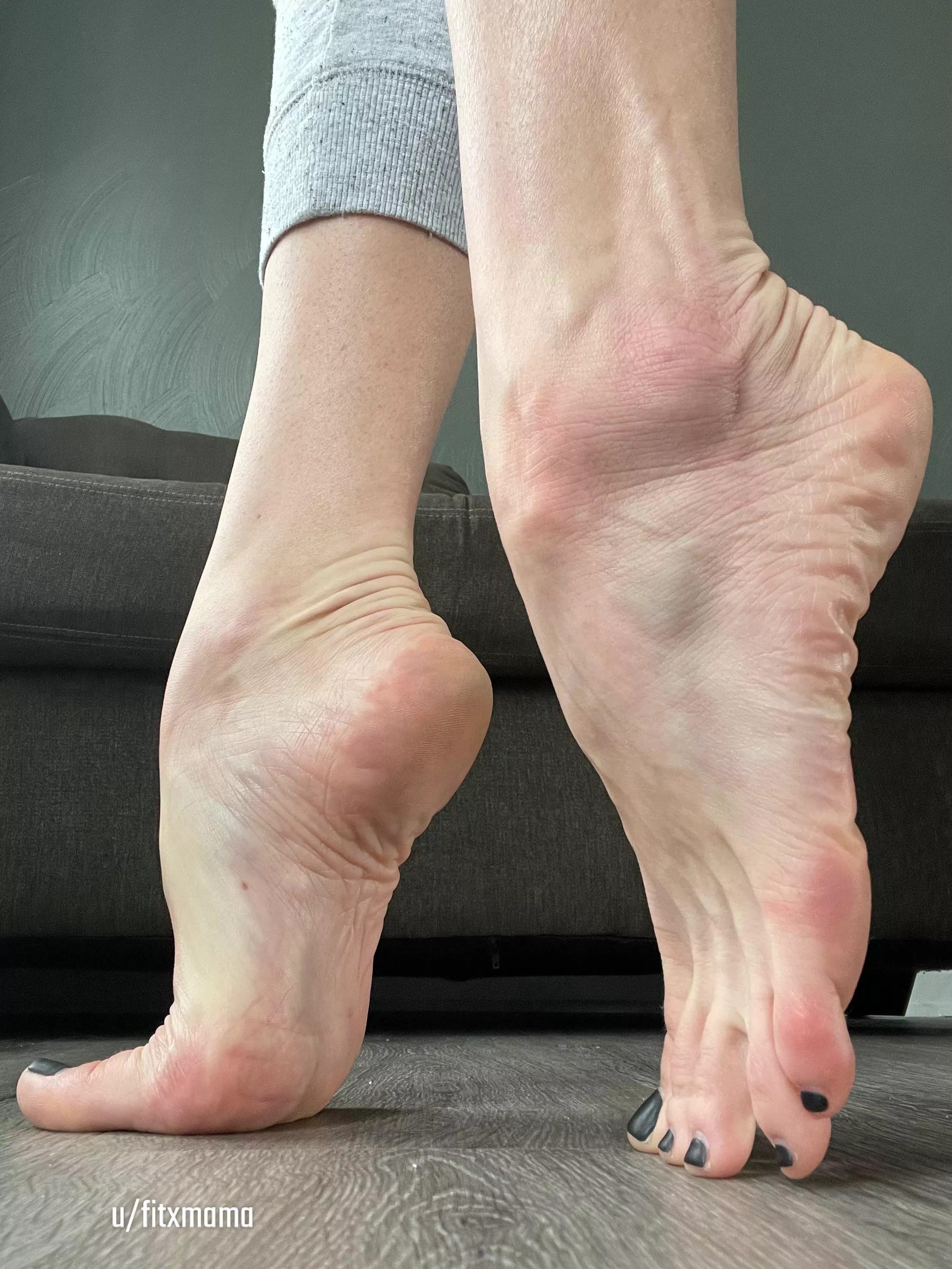 tiptoeing through tuesday