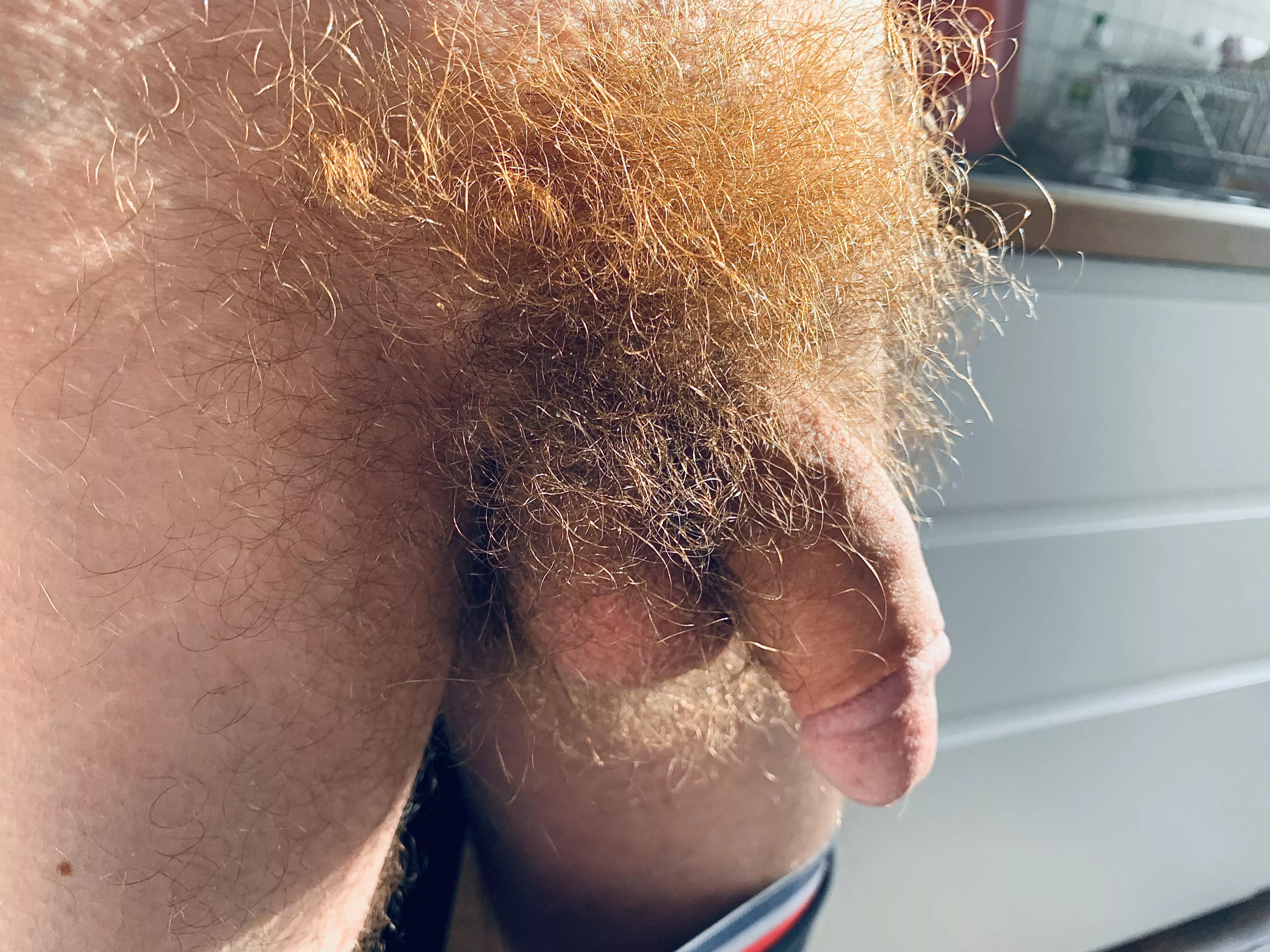 Who wants to explore my rainforest?