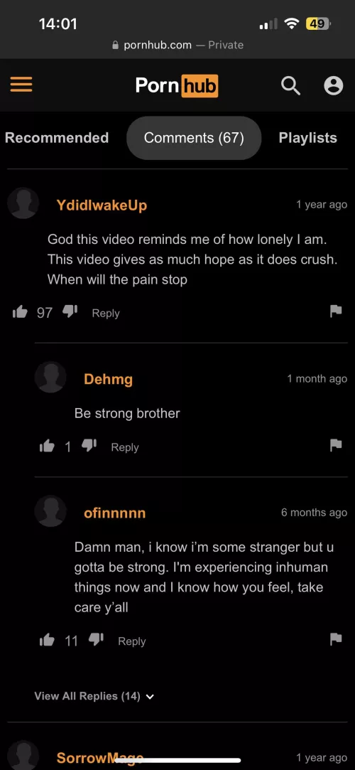 Wholesome Commenters