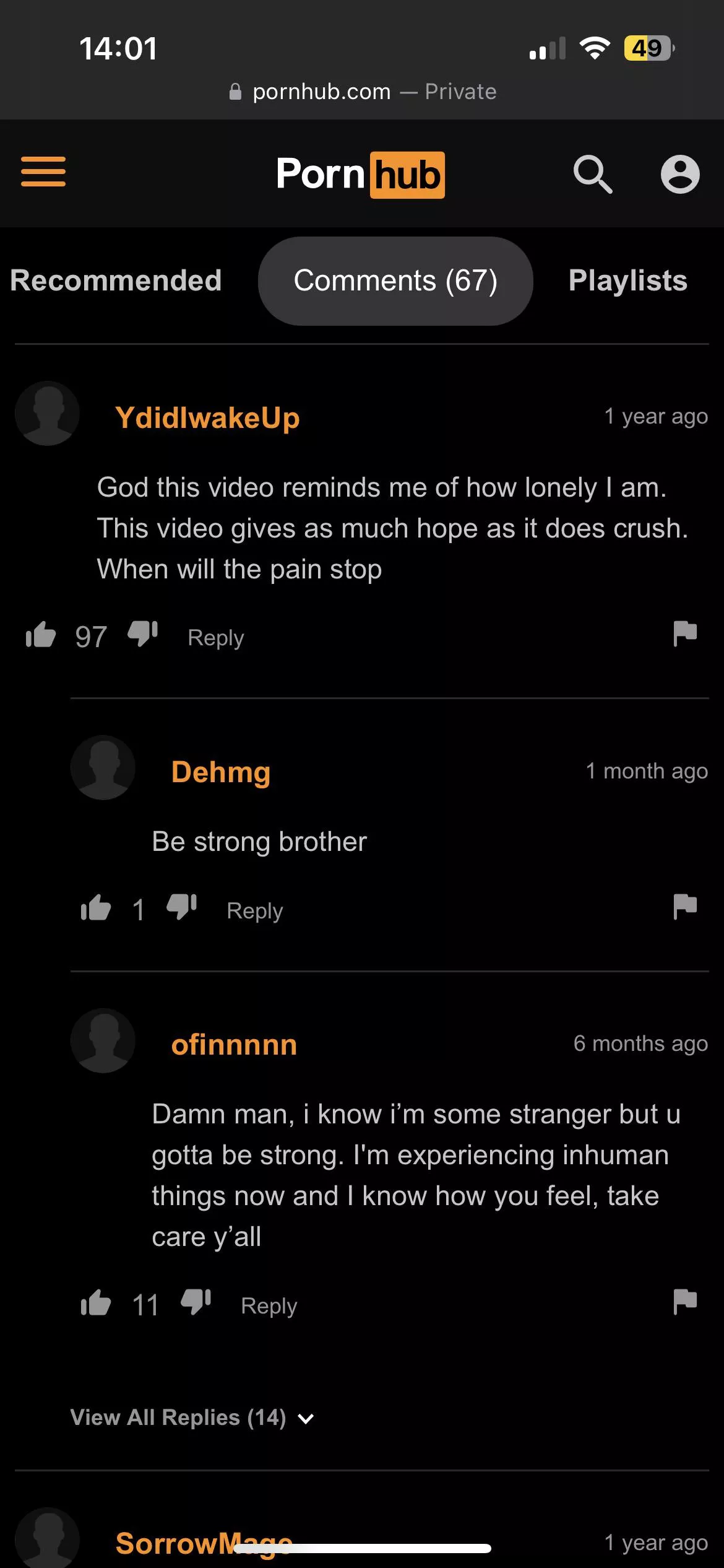 Wholesome Commenters