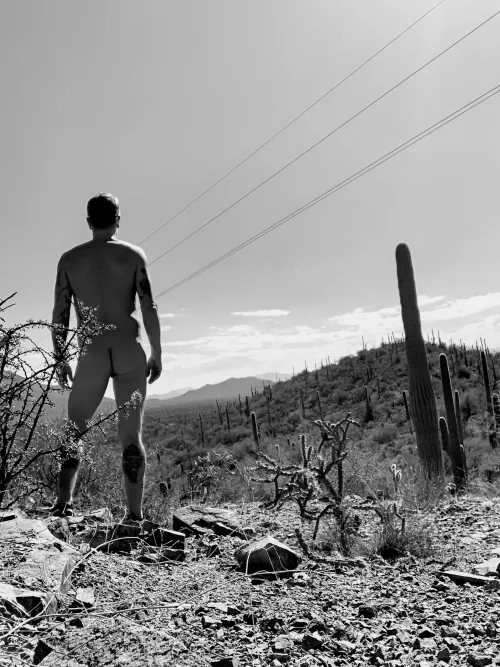 An amazing day at Saguaro Natl Park