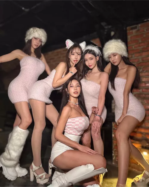 Asian snowbunnies