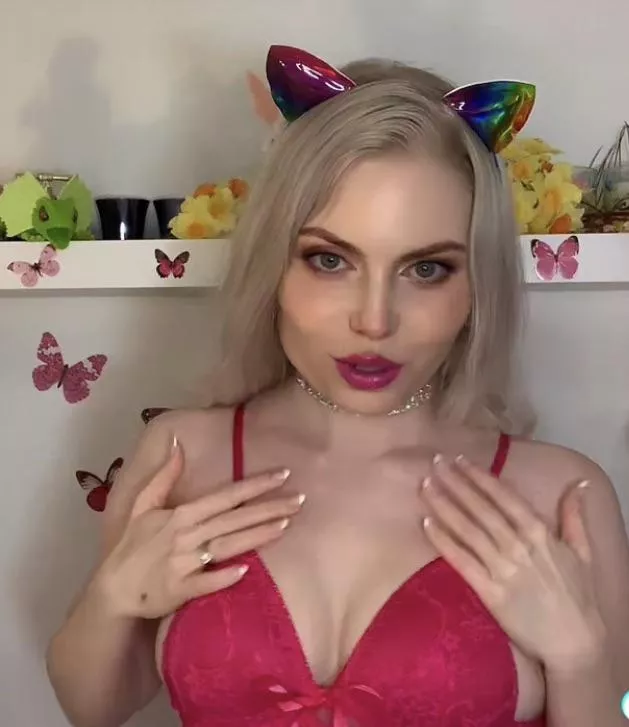 Bimbo kitten