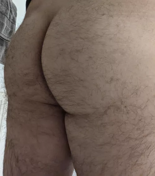 Chubby 30m bi with hairy virgin ass from Sheffield needing a top