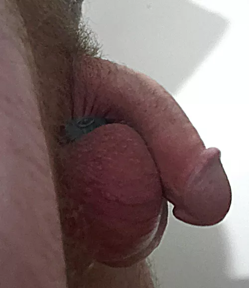 Cockring is a tight fit tonight