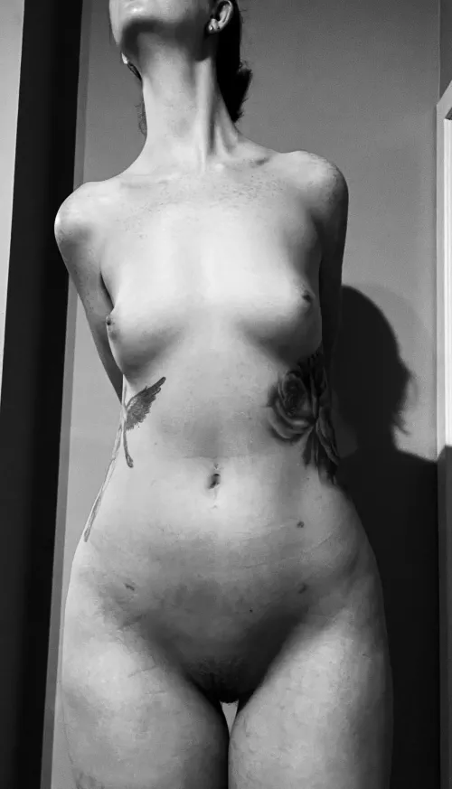 Looking to the light..