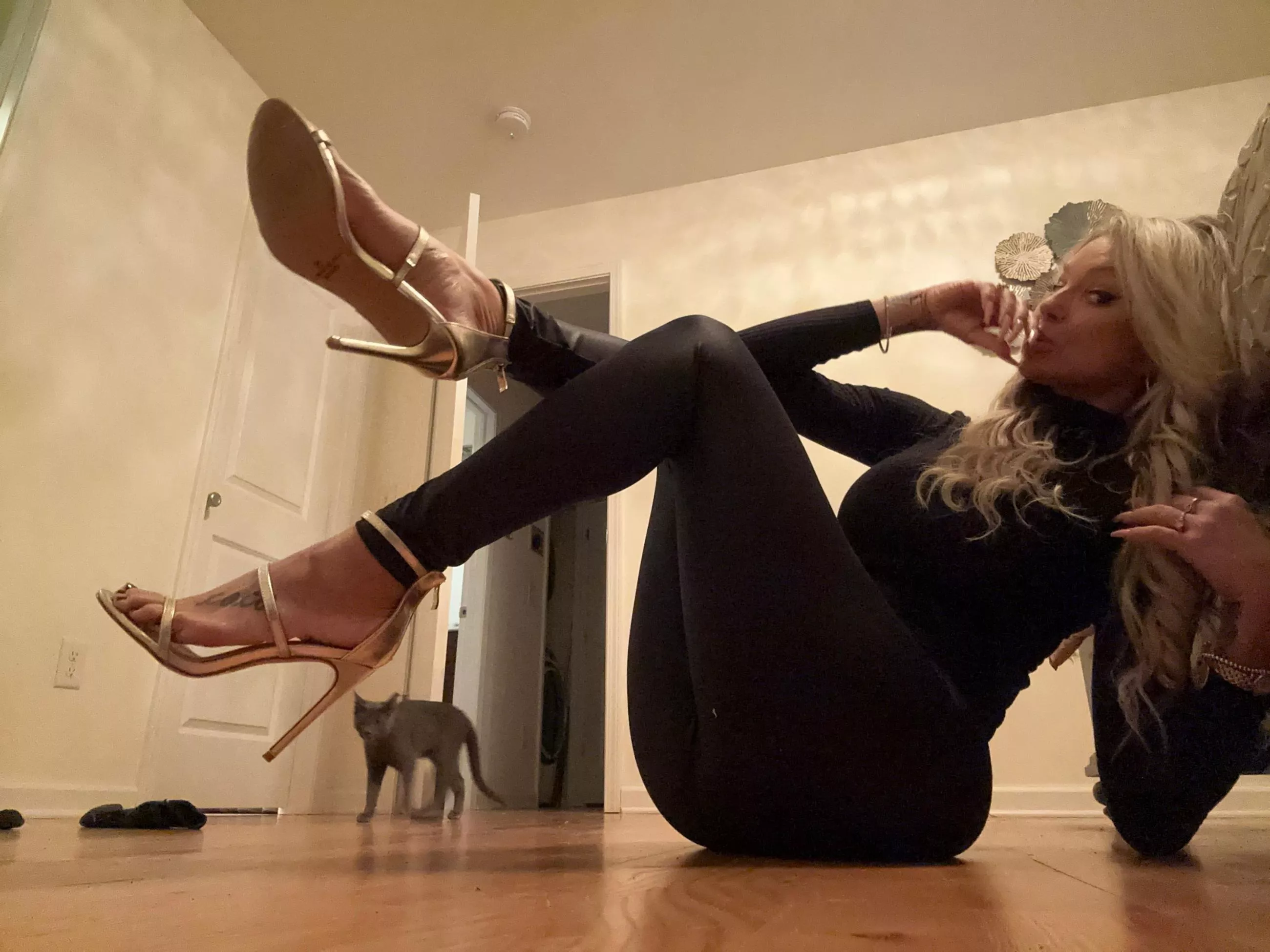 [OC] Cat Photobombing😂