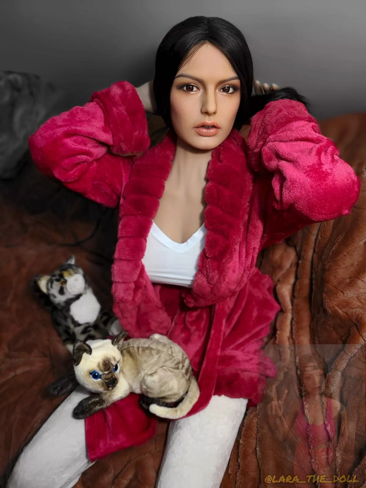 wait a minute Lara, TWO CATS!?