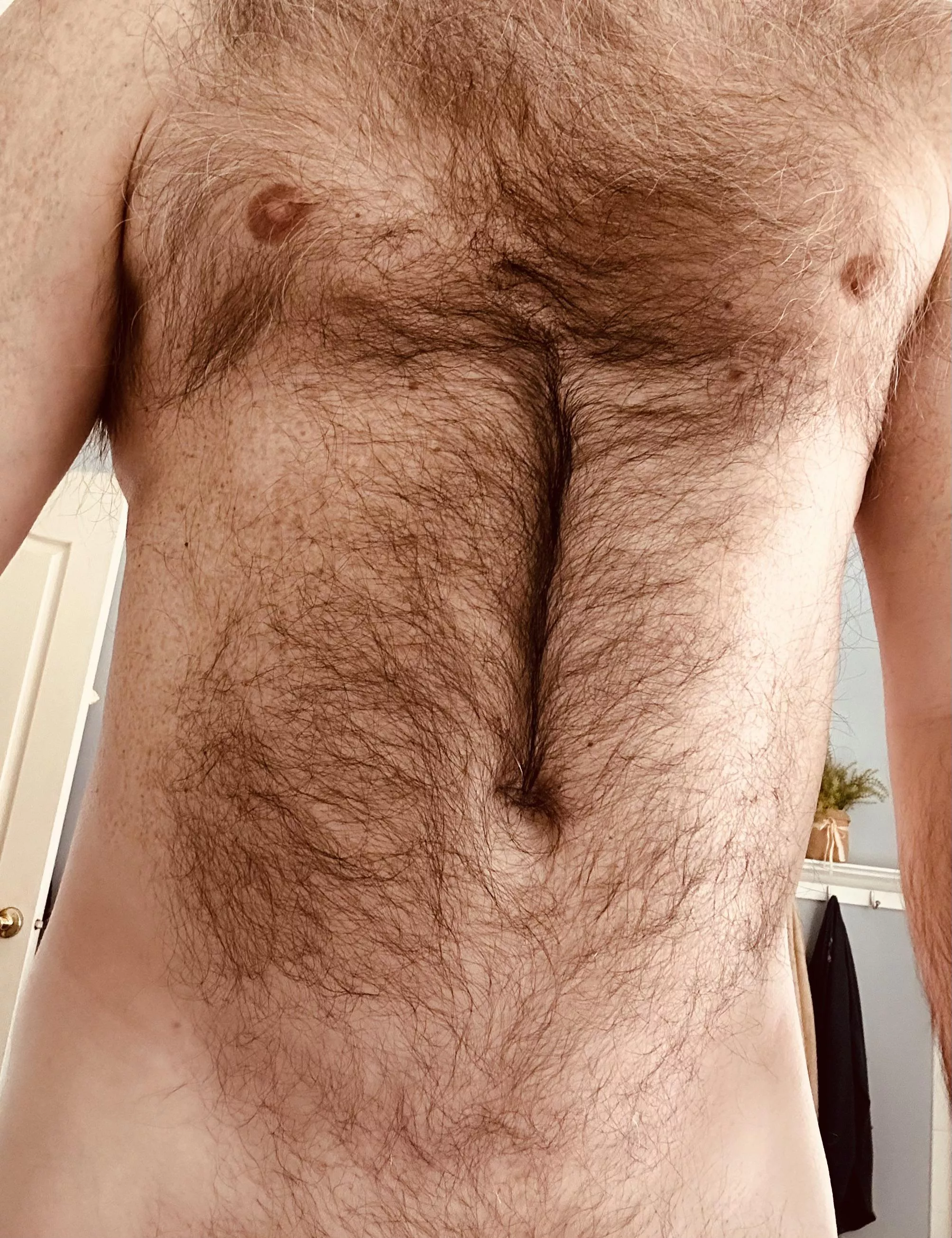 You are all amazing with your compliments. Everyone loves my happy trail.