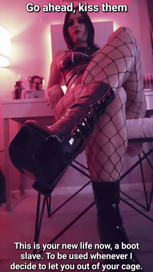 your new life awaits.