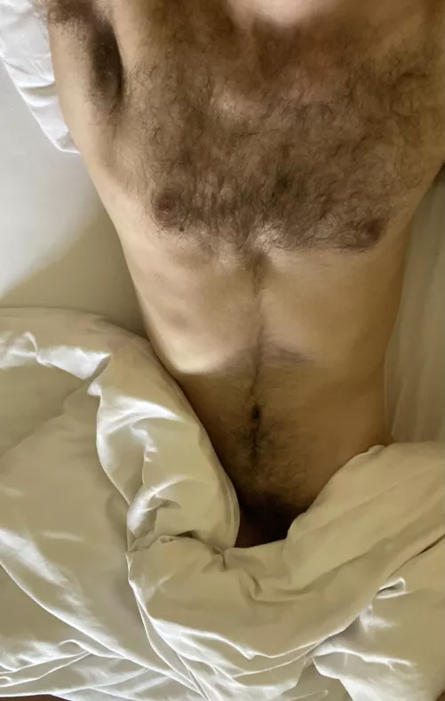 23 bi, any verbal fit tops wanna have some fun with me? ;) hmu benglg96