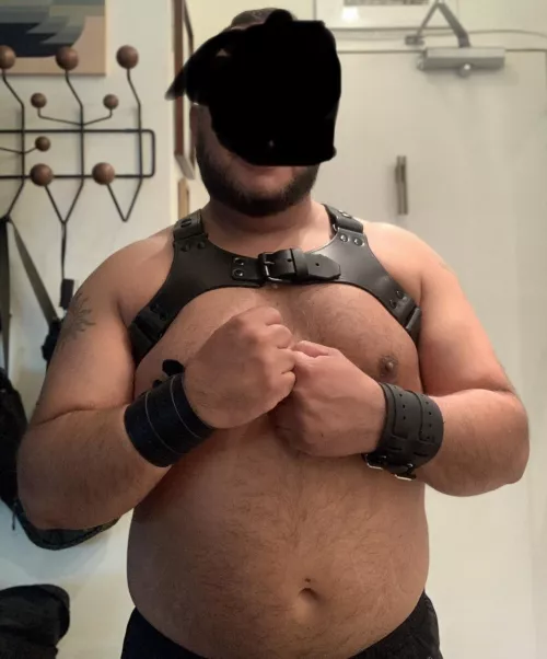 (40) Arab Daddy Bear