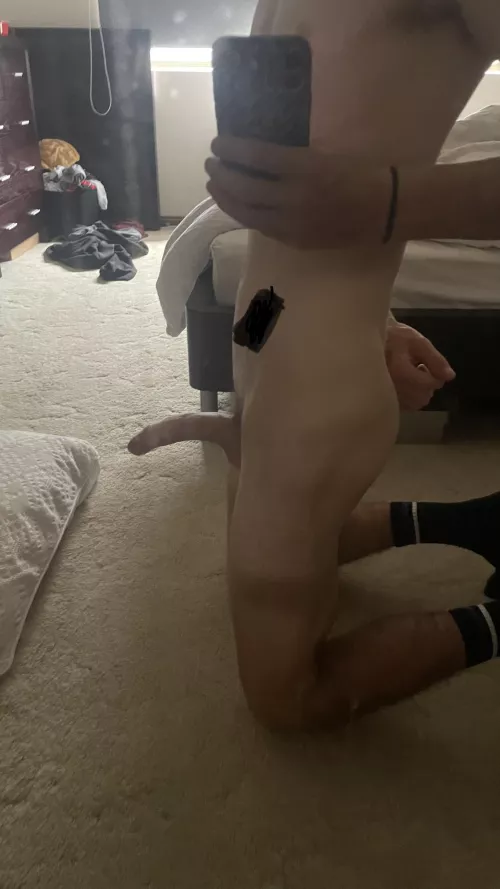 after presenting myself while standing up i was told that i should be down on my knees where i belong so here i am 😌 what position should i assume next? 🥺