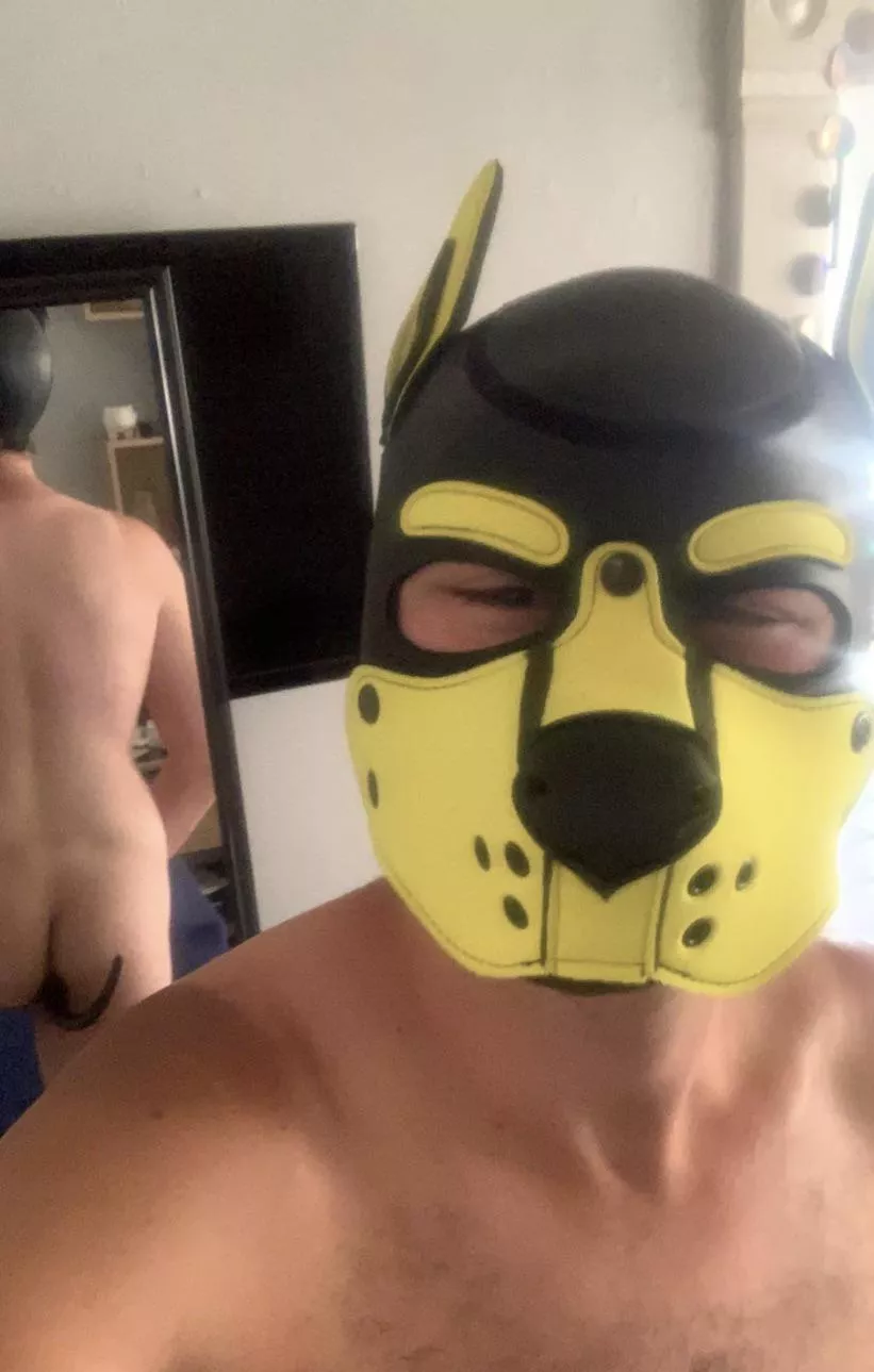 Back during my pup phase! I’m thinking about getting back into it [24]