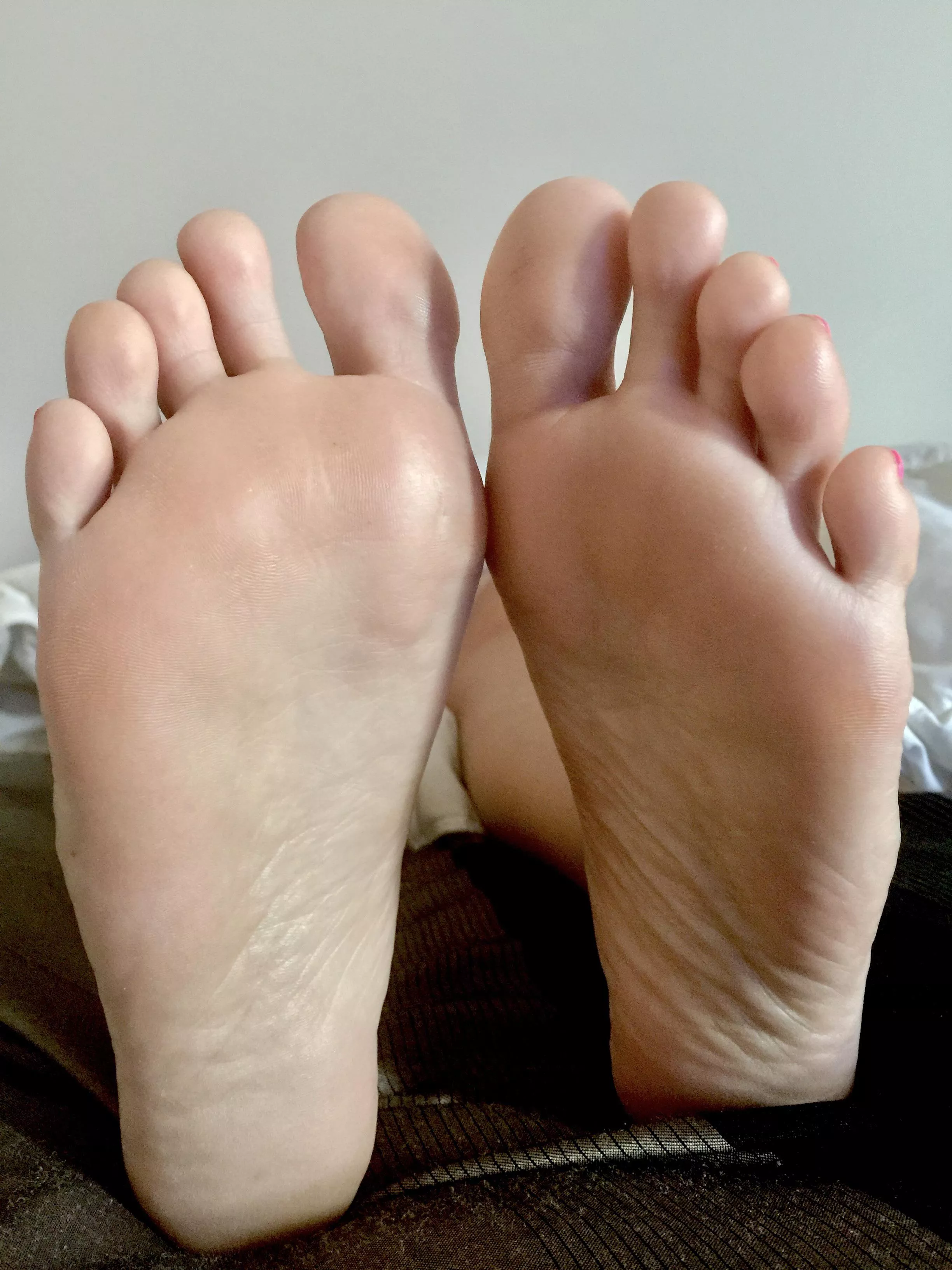 Come have a taste….f51