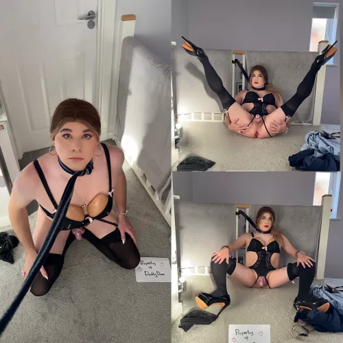 Congratulations Ashley you definitely have all the requirements to be a secretary at my harem😏