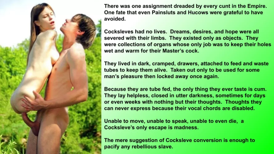 (CW: Amputation) There is no worse fate than that of a Cocksleve