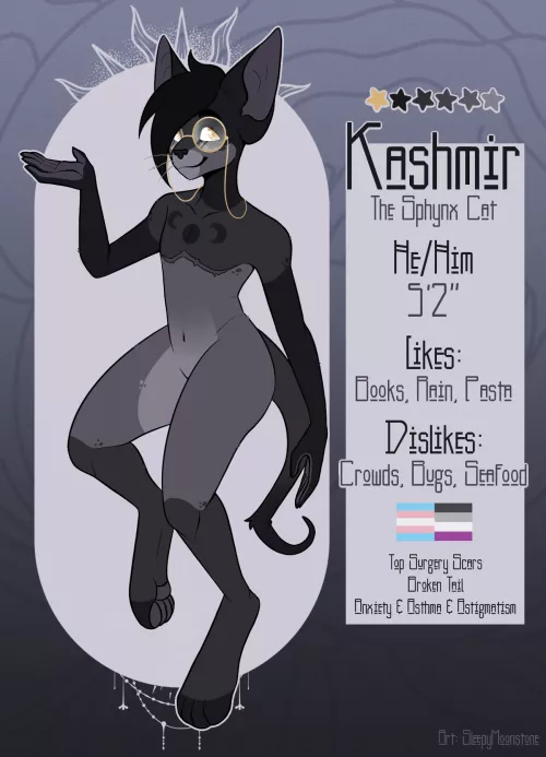 Did a quick and simple ref for my redesigned Sona! (OC)