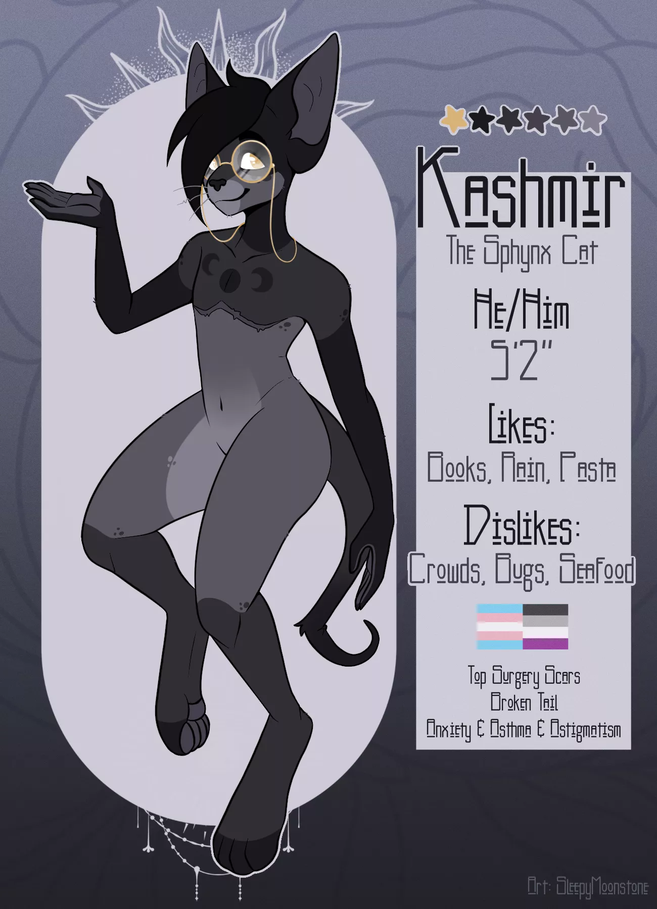 Did a quick and simple ref for my redesigned Sona! (OC)