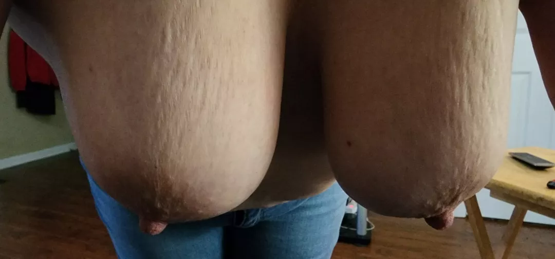 Everyone loves hanging titties right?