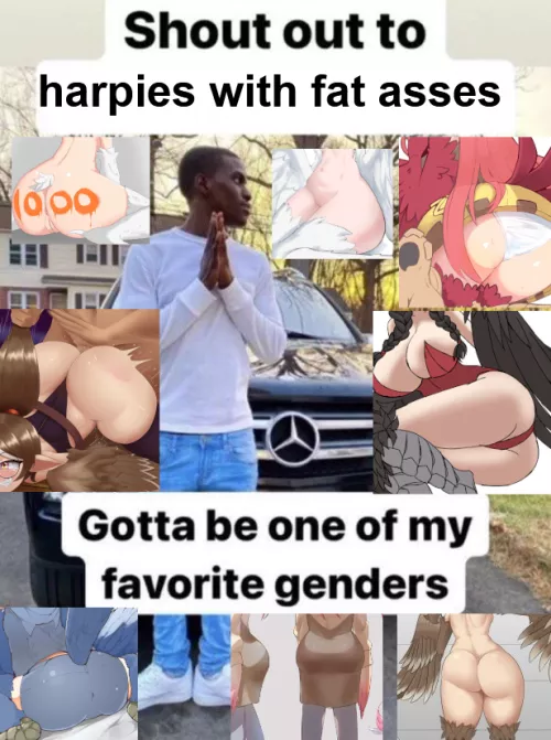 Harpy lovers rise up.