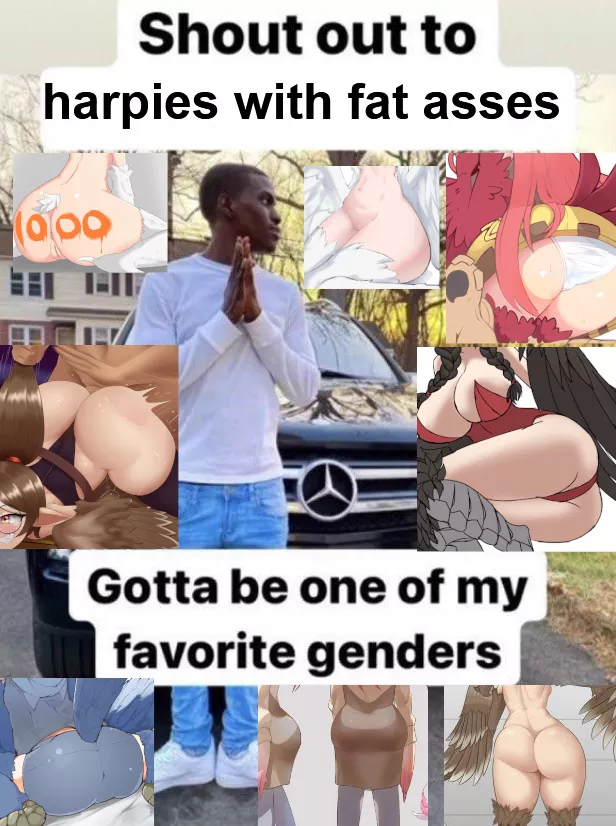 Harpy lovers rise up.