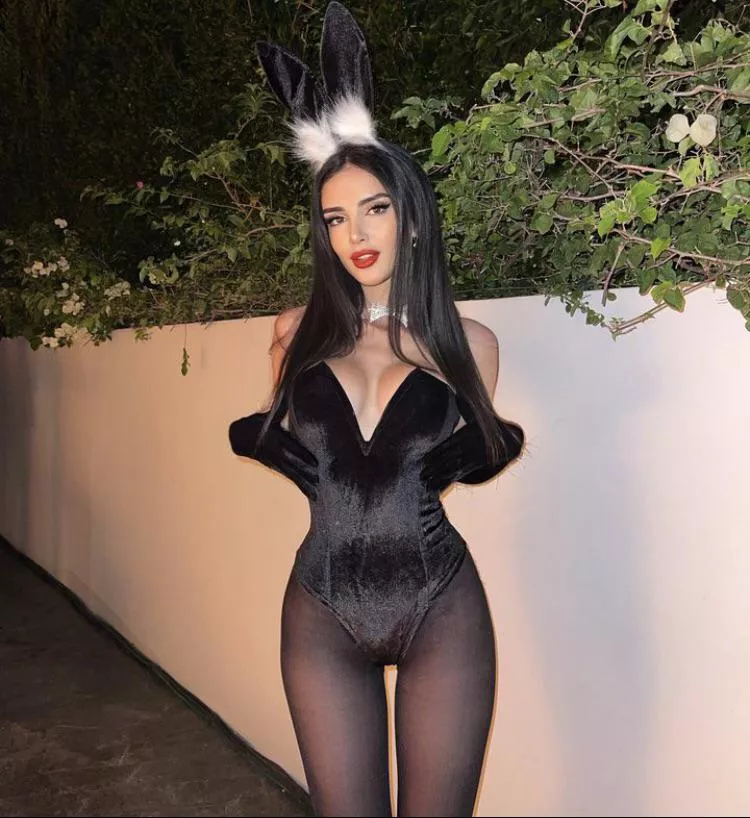 Hot bunny
