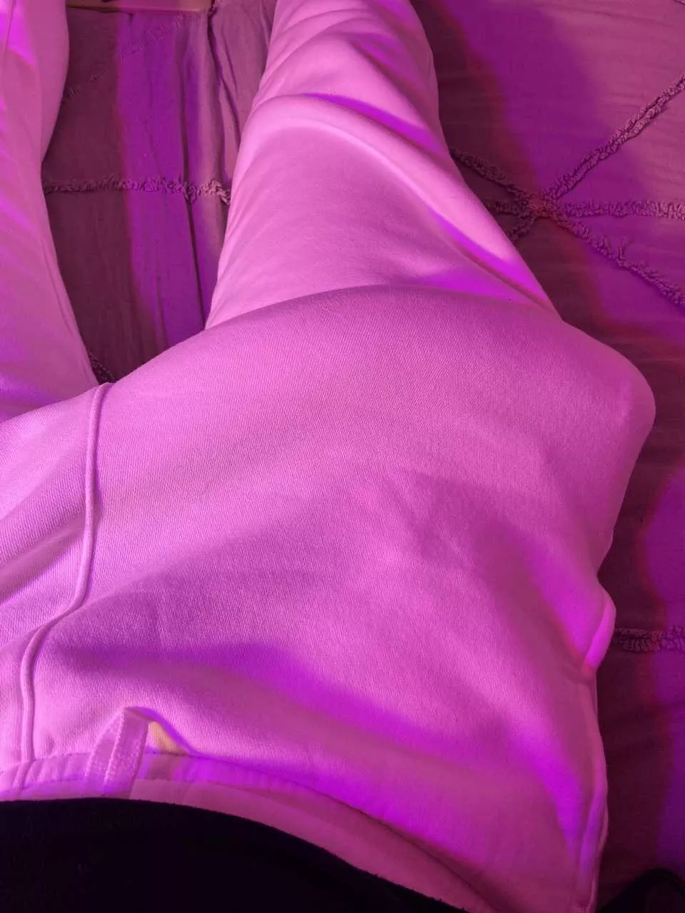 How big do you think it is?