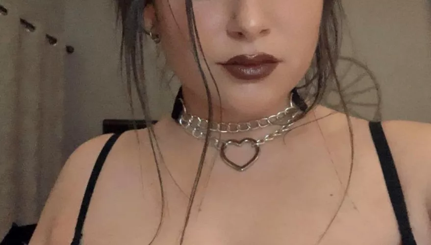 I always feel so pretty when daddy puts my collar on ❤️