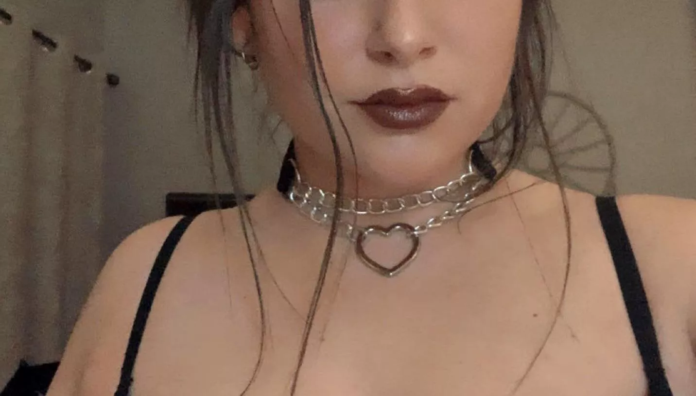 I always feel so pretty when daddy puts my collar on ❤️