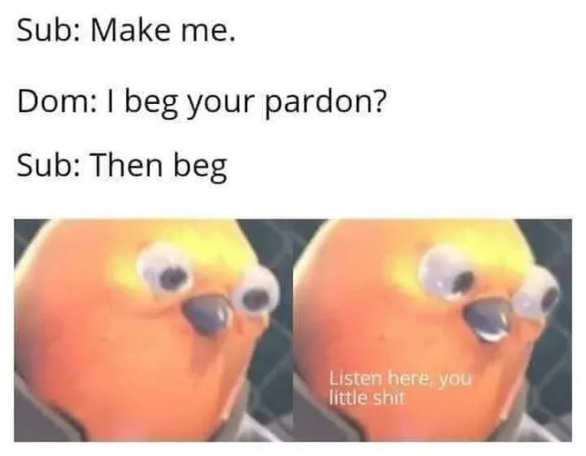 I’m a little mouthy sometimes🤷🏼‍♀️🤭