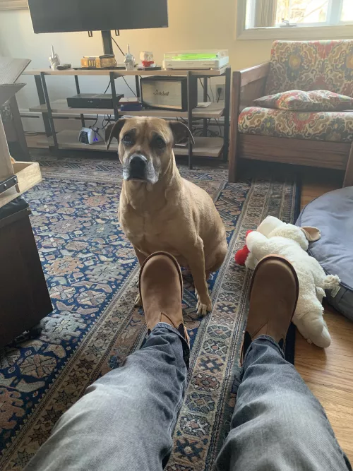 Jim Green Stockman + Bean + Question in comments