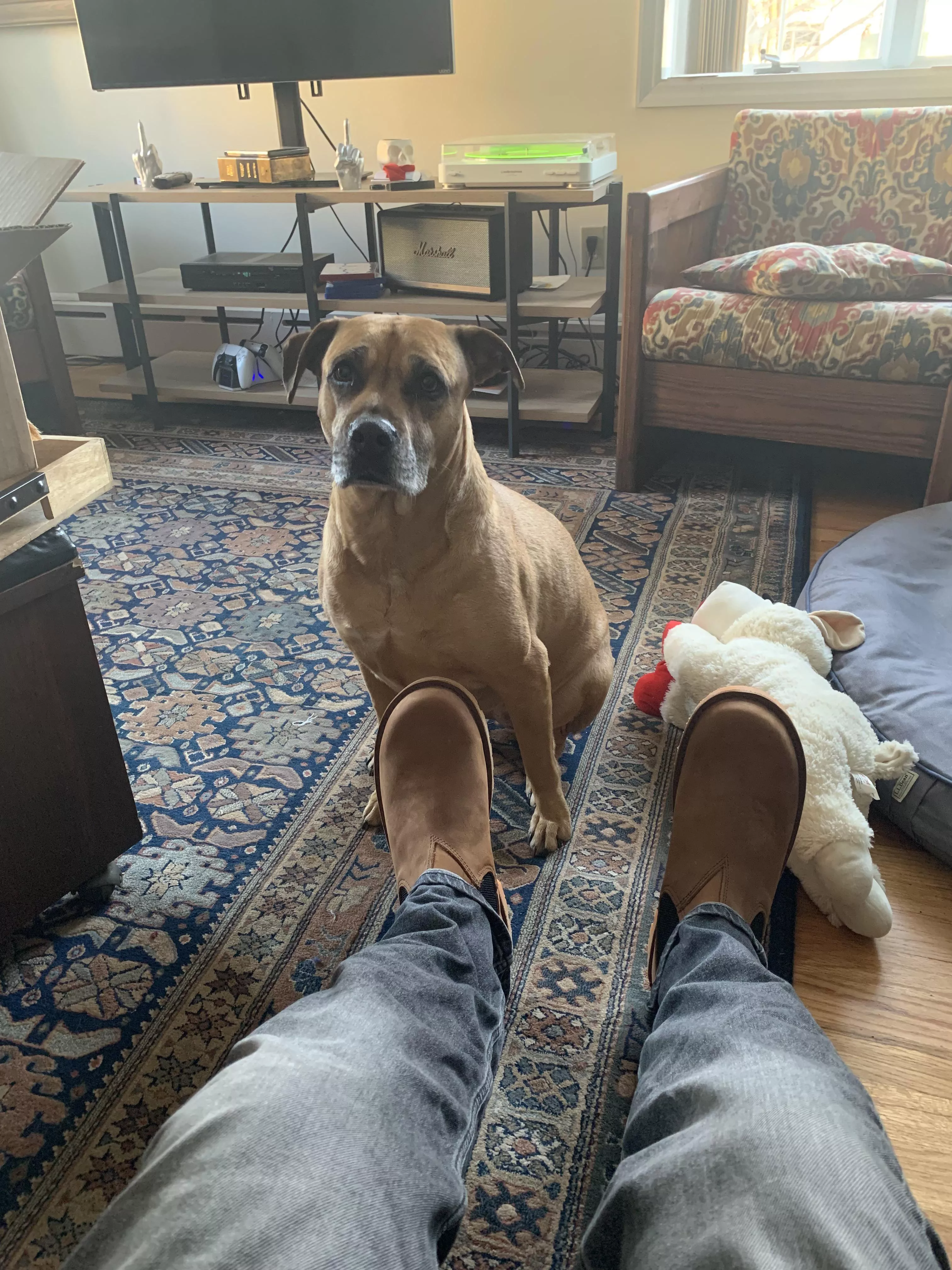 Jim Green Stockman + Bean + Question in comments