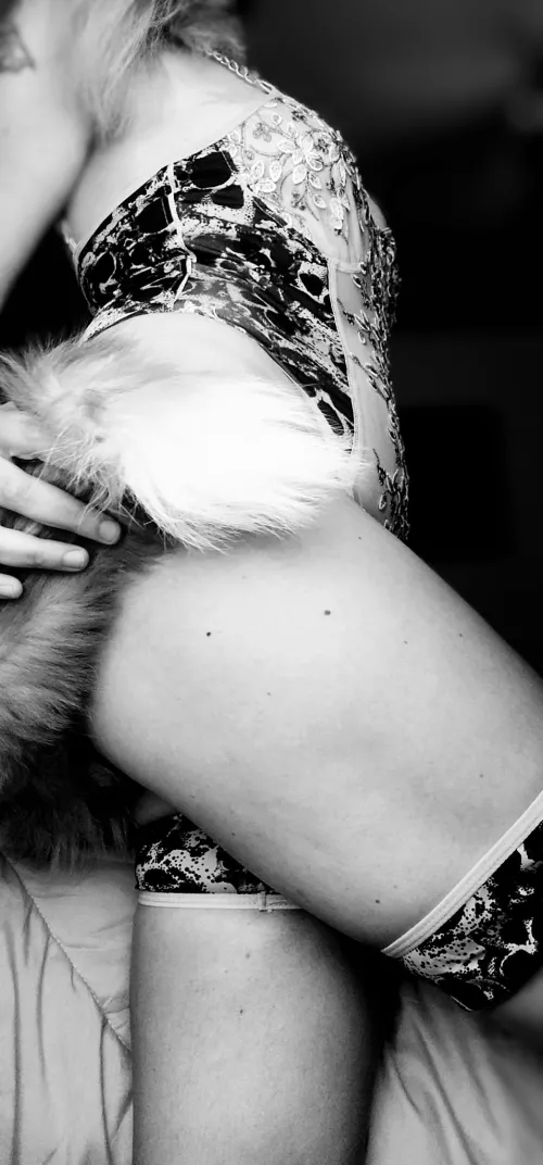 Jimmy's pet is ready to purr.