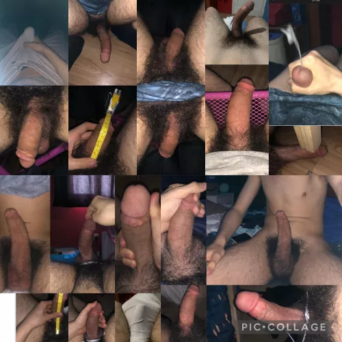 Penis Pic Collage