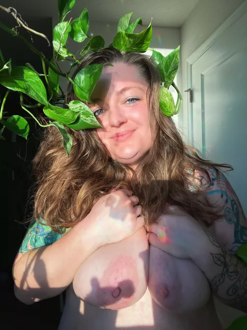 Pothos. More in comments