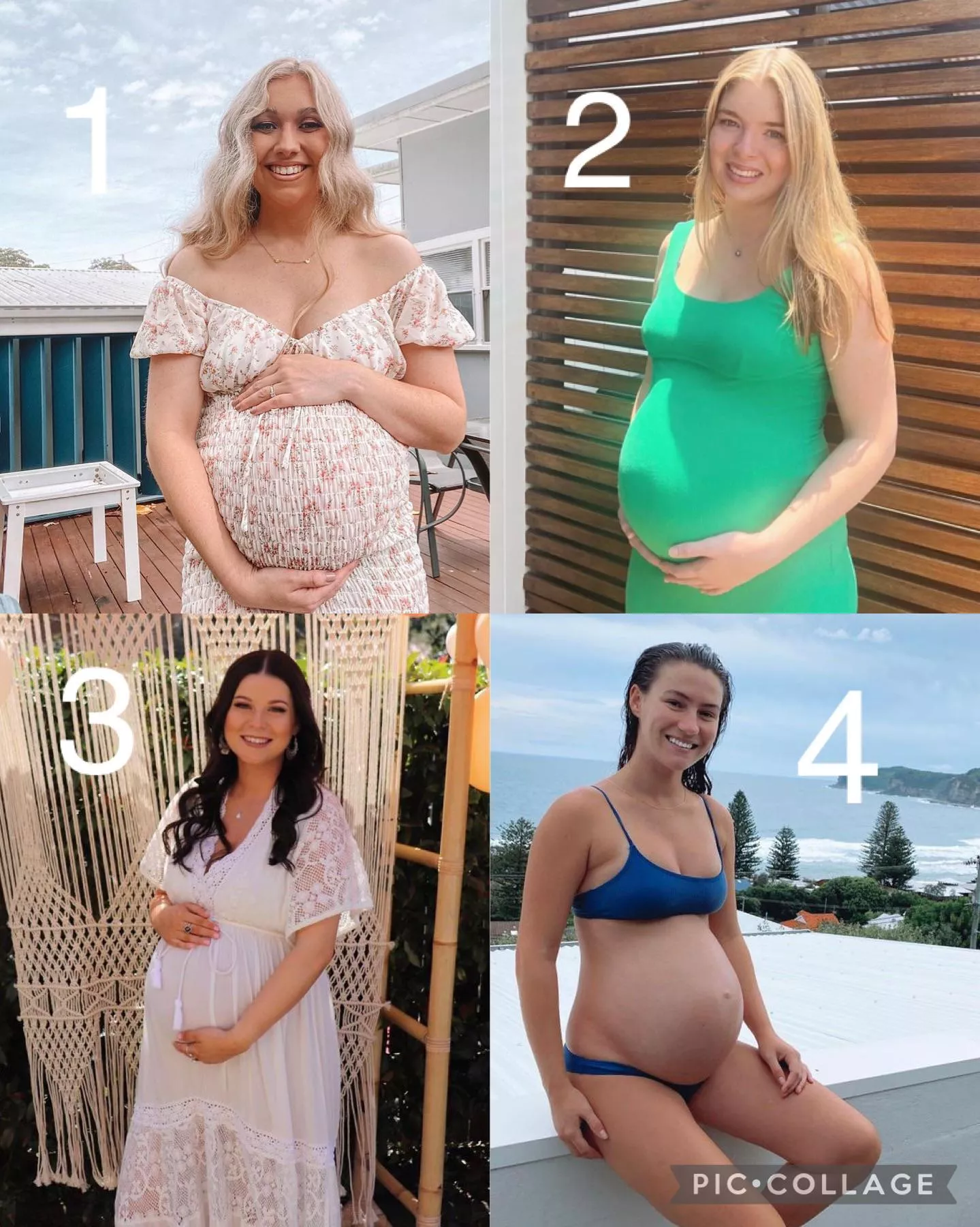 Pregnant 1-4