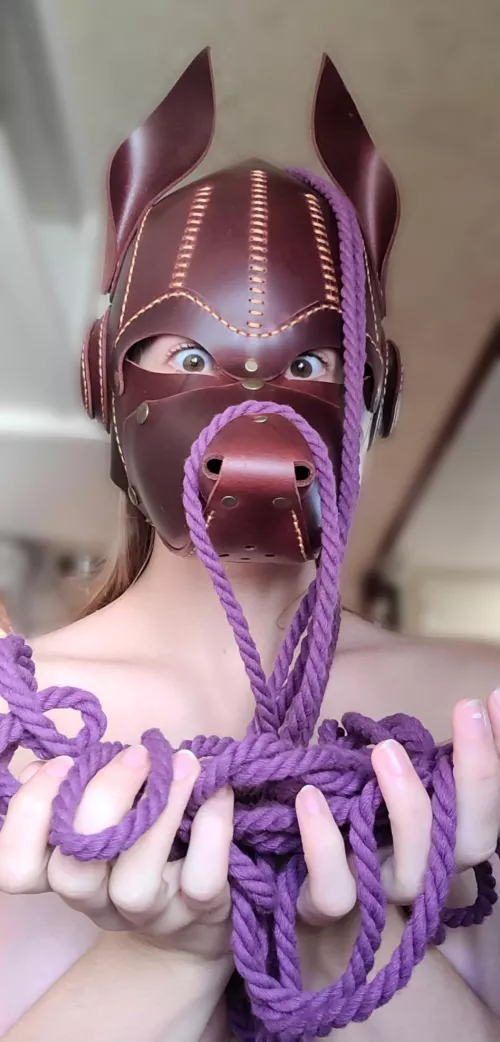 Puppy found rope!! :o What do?