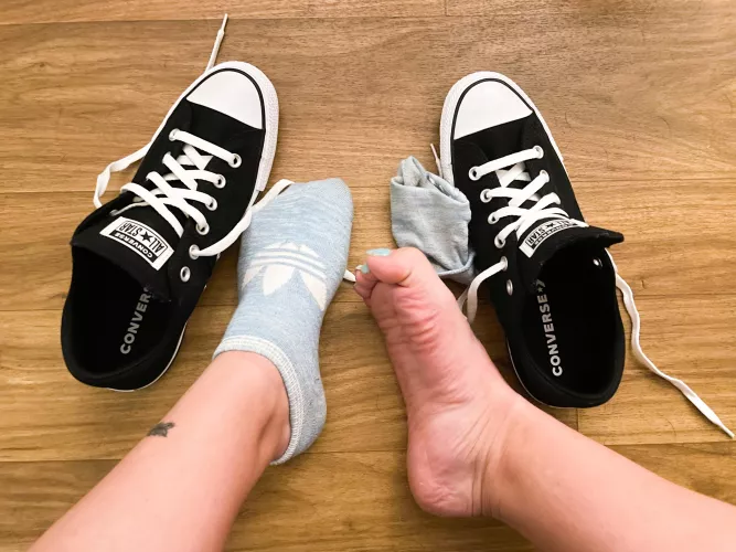Sniff my feet or my converse? 😏