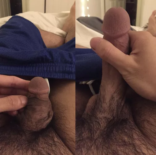 Squirtle vs Blastoise