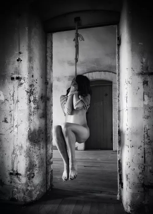 Suspended and Restrained.