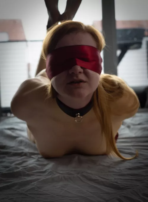 Today we tried a fast hogtie with only one short rope. It actually went well and effectively!