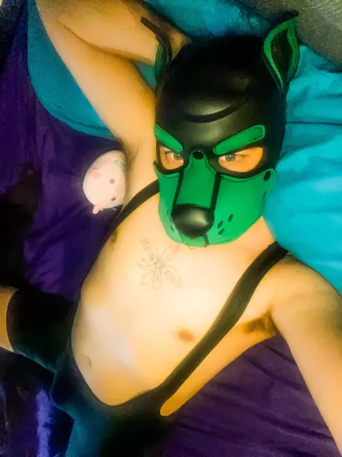 What can I say -pigs just really enjoy sniffing me !!!