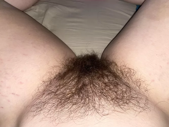 Would you go down on me?