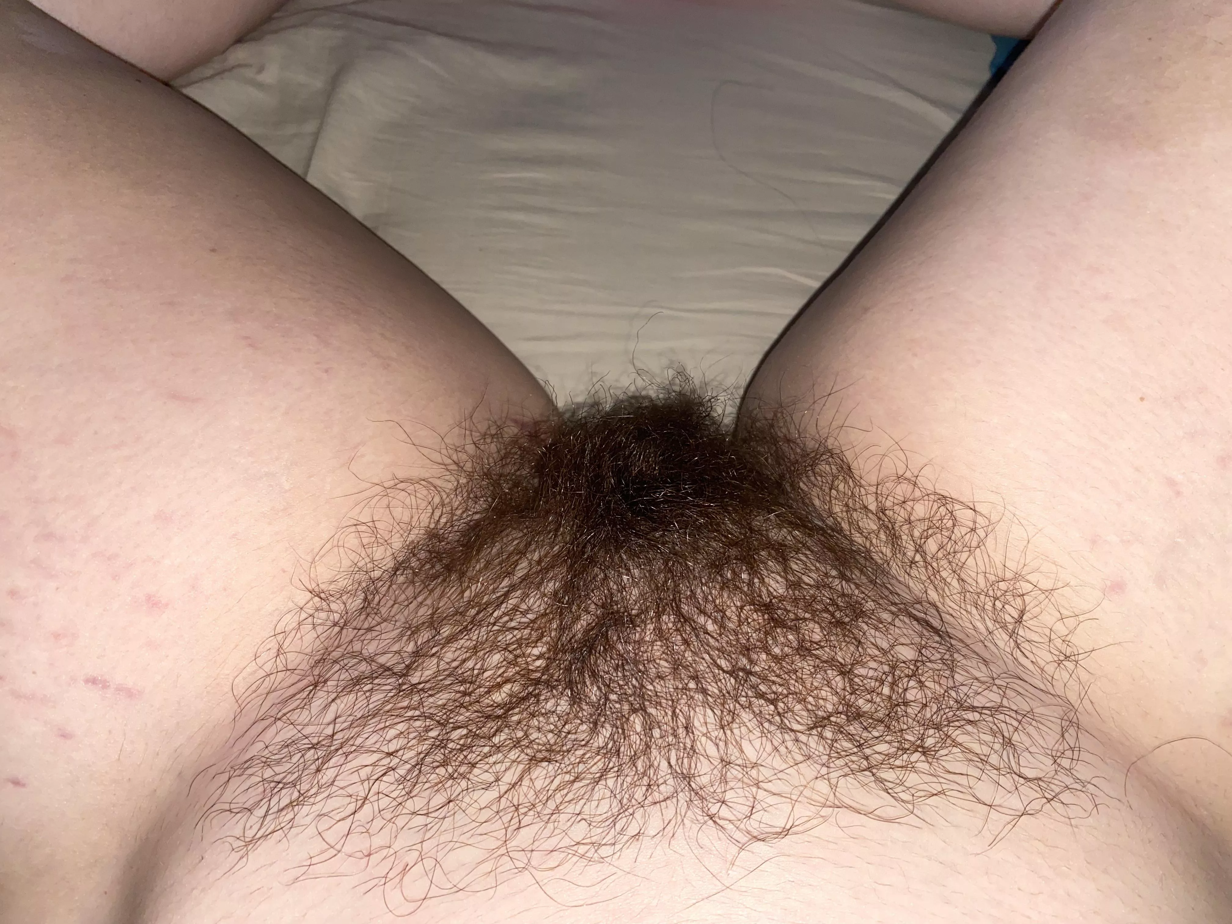 Would you go down on me?