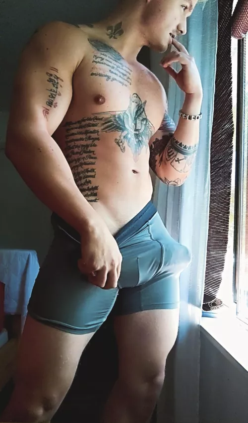 Would you wanna be my neighbor? (Br4zeNiko)