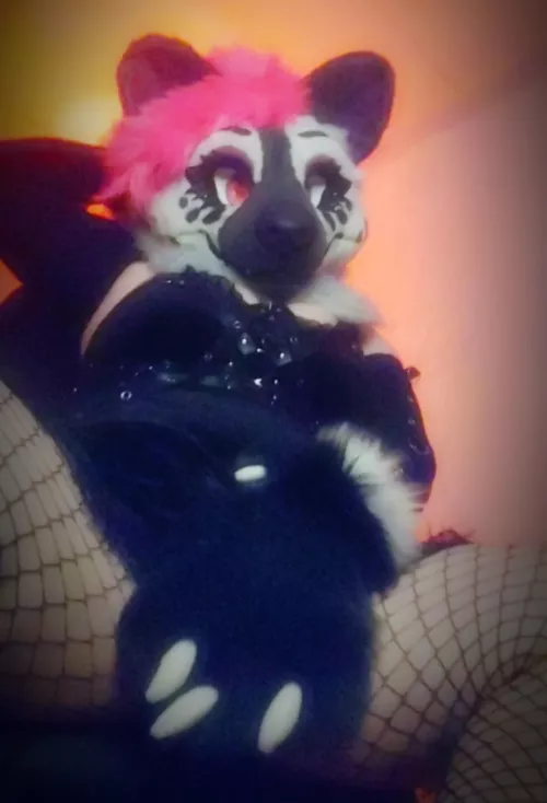 You look good down by my feet.