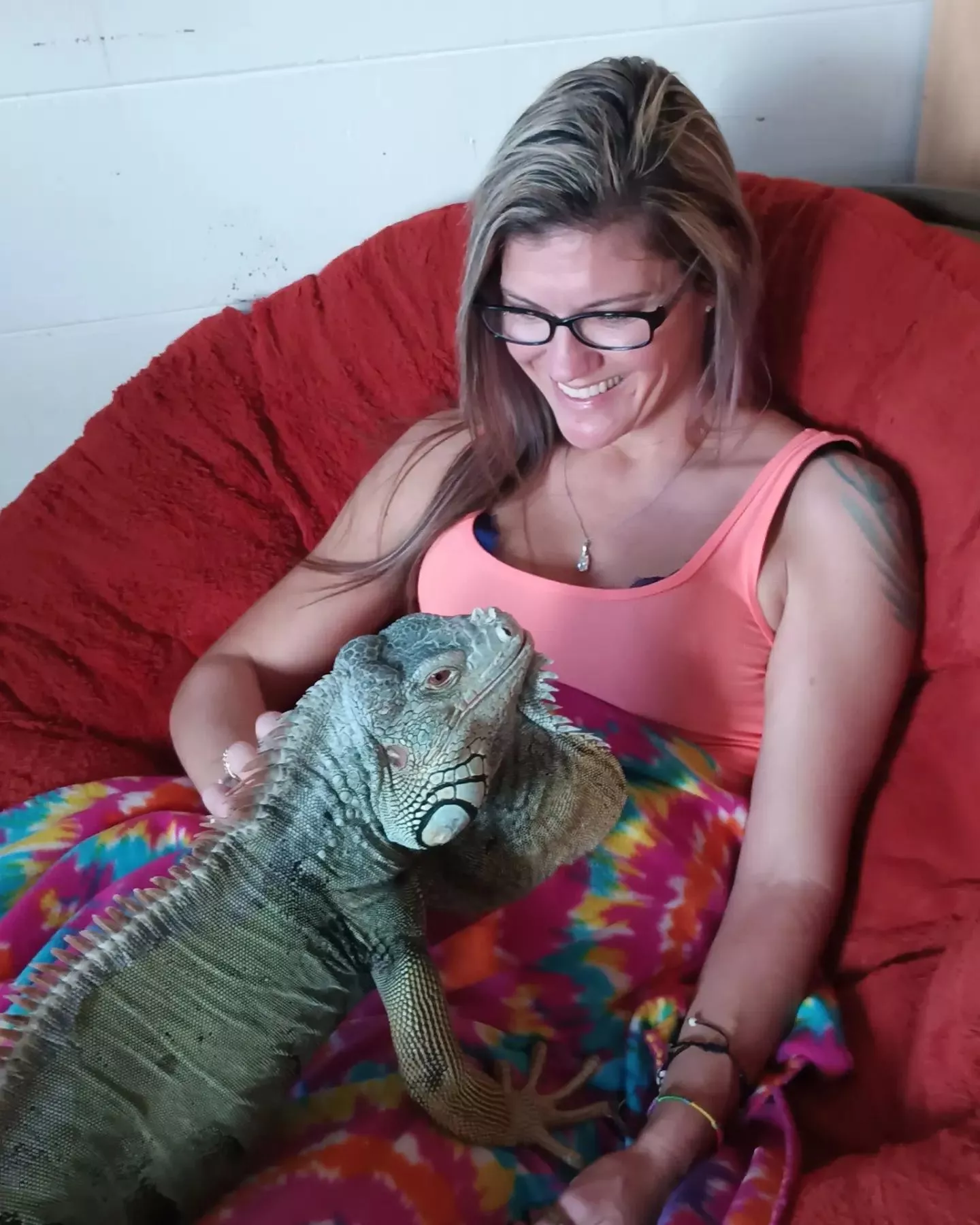 you've never pet a dragon while stoned? you're missing out!