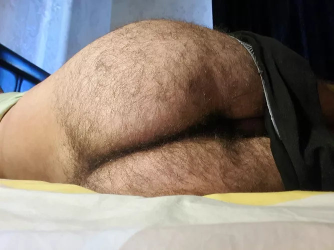 anyone into hairy holes?